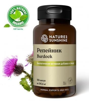 repeynik-burdock-100-kapsul-bad