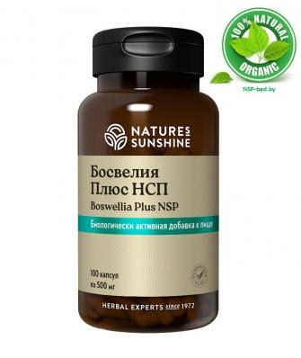 БАД Босвелия Плюс НСП (BOSWELLIA PLUS NSP), 100 капсул