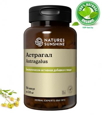 Астрагал (Astragalus) бад, 150 капсул купить с 40% скидкой по дисконту