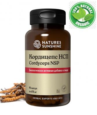 Cordyceps NSP, 90 капсул БАД,