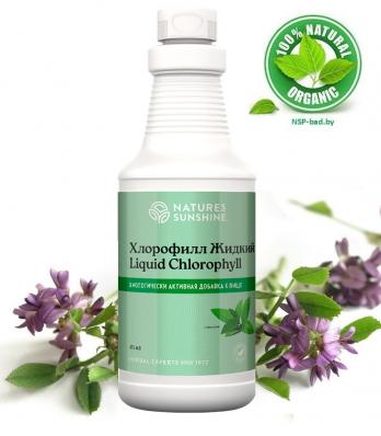 Хлорофилл жидкий Liquid Chlorophyll NSP