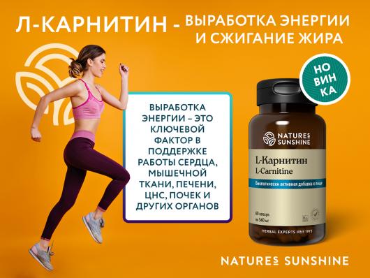 L-карнитин НСП,  L-carnitine NSP , БАД  60 капсул