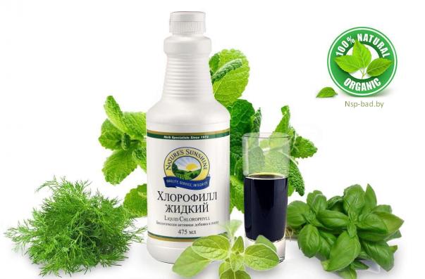 Liquid Chlorophyll NSP (Хлорoфилл жидкий НСП)- 475 мл, БАД